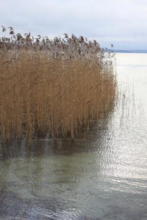 Groß Sarau Dezember 2011